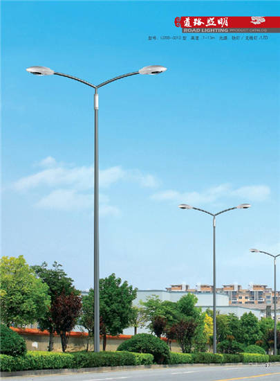 LDSB-0010