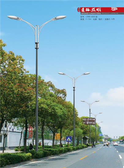 LDSB-0020