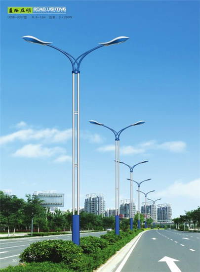 LDSB-0021